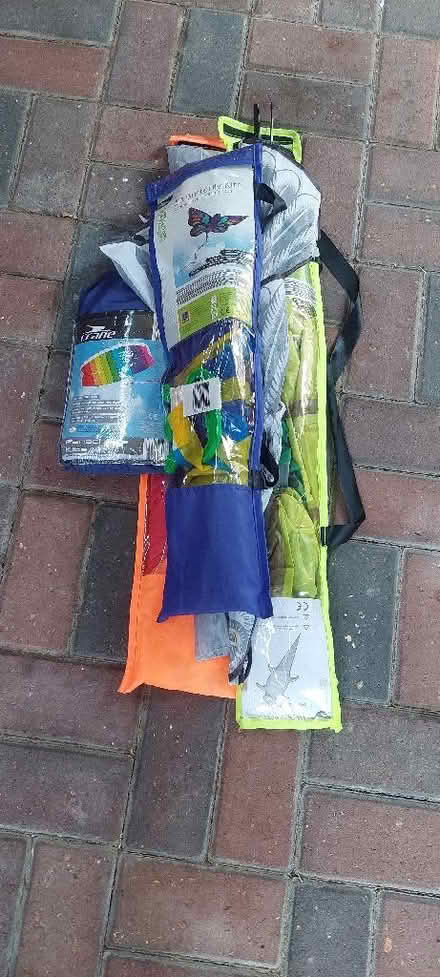 Photo of free Kites (Hawley GU17) #1