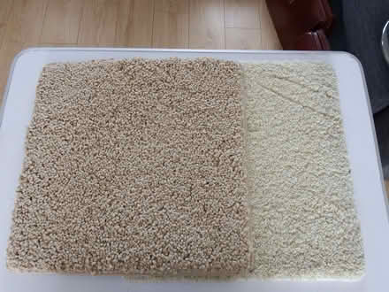 Photo of free Carpet squares (Vale LA1) #1