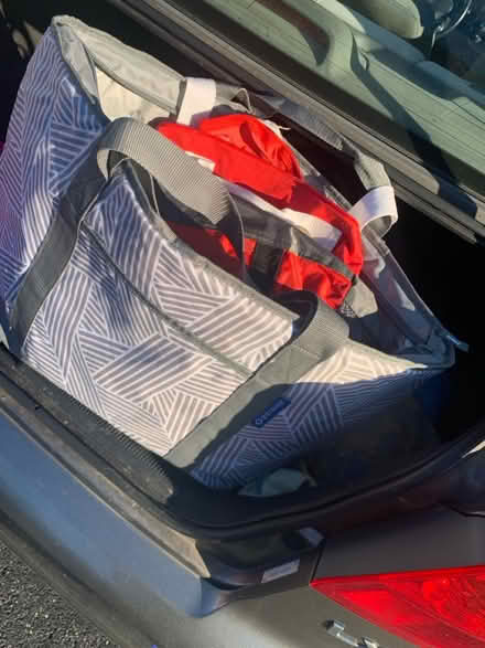 Photo of free Variety of tote bags (Park Forest IL) #2