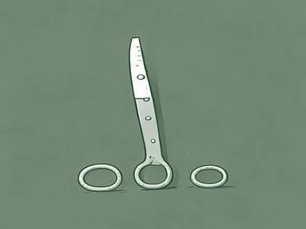 Photo of Hedge cutters or shears (Glen Parva LE2) #1