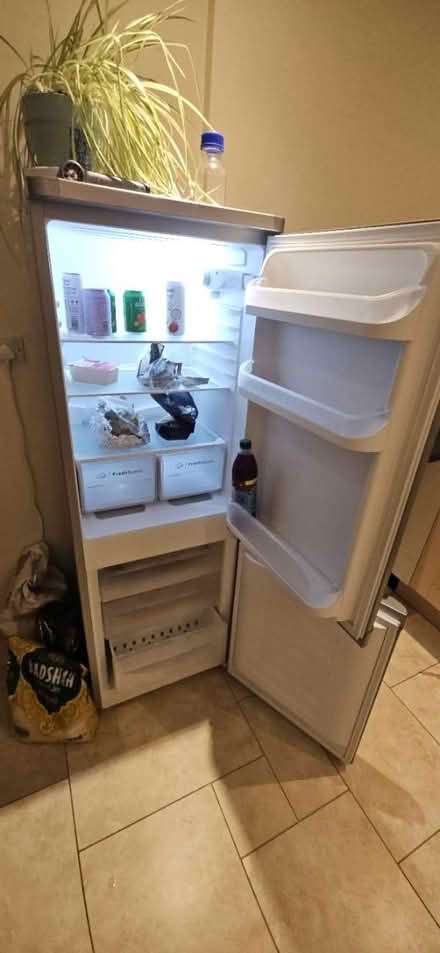Photo of free Indesit - Fridge/Freezer (Bradville MK13) #4