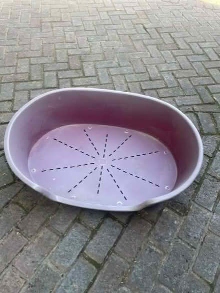 Photo of free old but still in good condition dog bed (Boreham Street BN27) #1