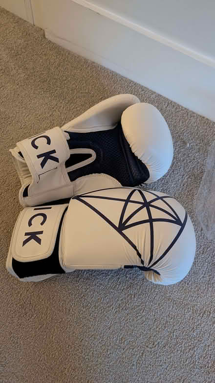 Photo of free Flykick boxing gloves - never used (Wandsworth SW18) #2