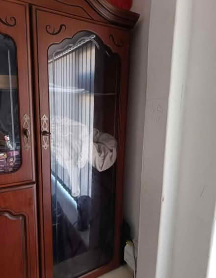Photo of free Display cabinet (Deepdale PR1) #2