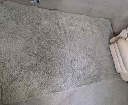 Photo of free Beige rug/carpet (Ealing common (W5)) #1