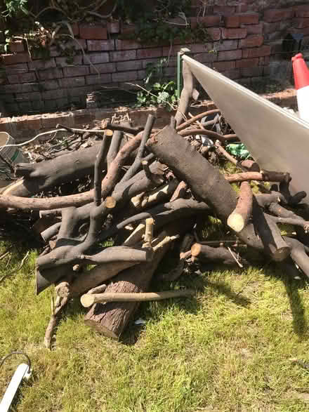 Photo of free Tree logs (Abbeydal road S8) #1