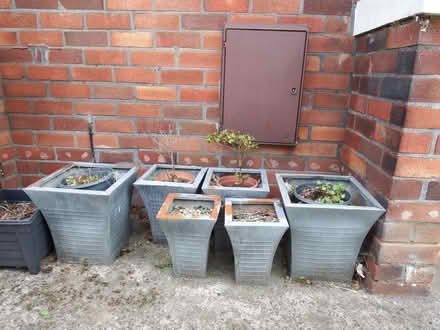 Photo of free 6 Metal Garden Planters (Vale LA1) #1