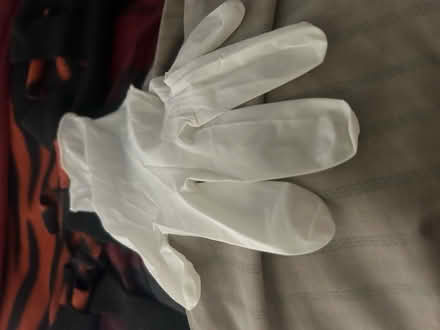 Photo of Latex gloves (Boise) #1