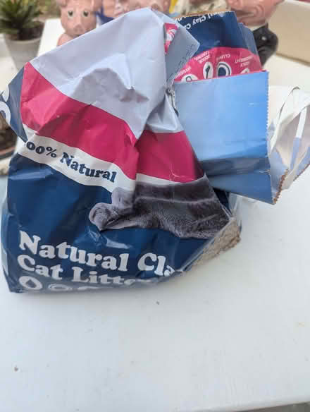 Photo of free Cat Litter (Moor End Green B24) #1