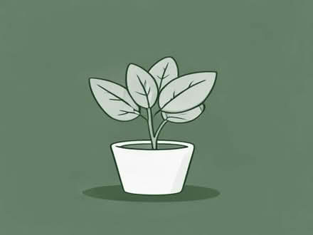 Photo of Fake plant (Bishop's Stortford CM23) #1