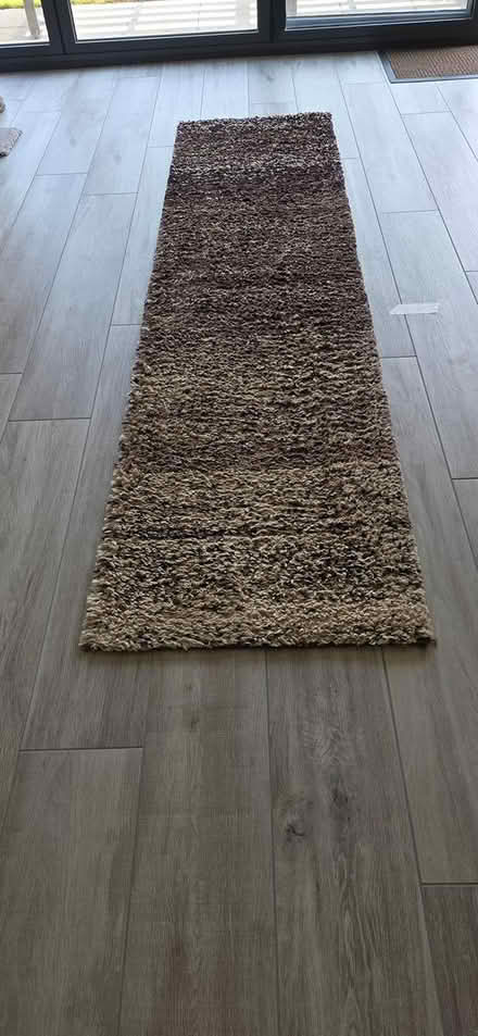 Photo of free Rug (TS15) #3