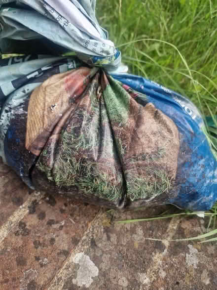 Photo of free Top Soli (Grove Park SE9) #2