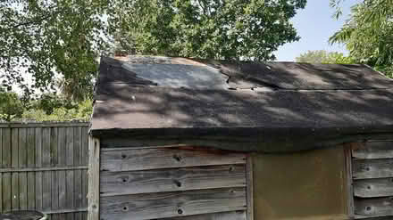 Photo of free Garden shed (Tolworth KT5) #2
