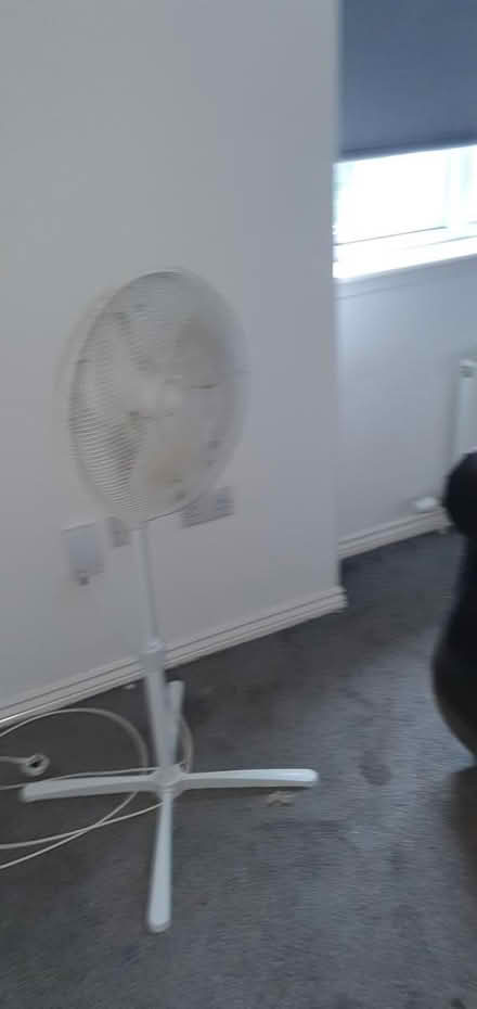 Photo of free Pedestal fan (G33 Near Glasgow Fort) #1