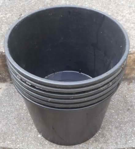 Photo of free 6 black plastic bins (East Croydon CR0) #2