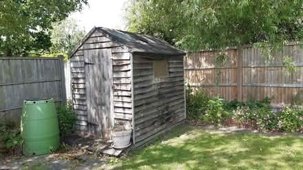Photo of free Garden shed (Tolworth KT5) #1