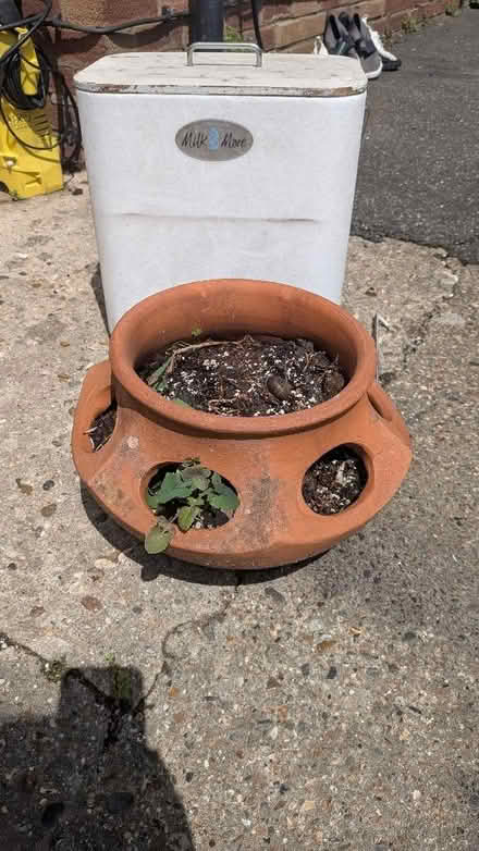 Photo of free Strawberry planter (Springfield CM1) #1