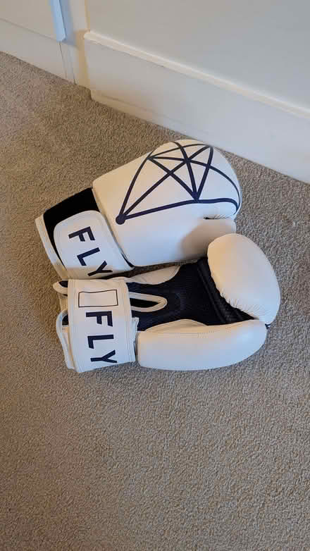 Photo of free Flykick boxing gloves - never used (Wandsworth SW18) #1