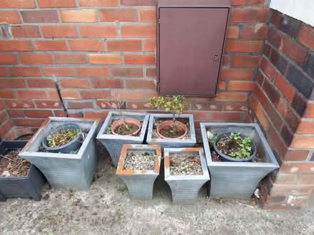 Photo of free 6 Metal Garden Planters (Vale LA1) #2