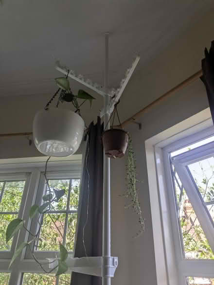 Photo of free Up to 4m tall plant holder (Ealing common (W5)) #1