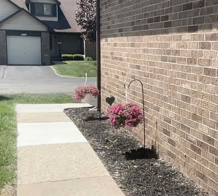 Photo of free Plastic pots for flowers (Western Dearborn) #1