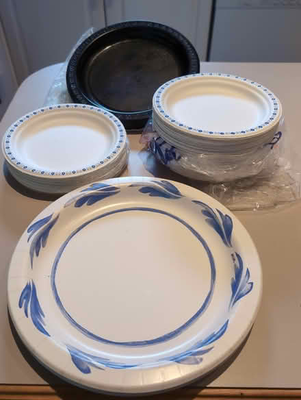 Photo of free Paper plates, plastic glasses (Glebe) #1