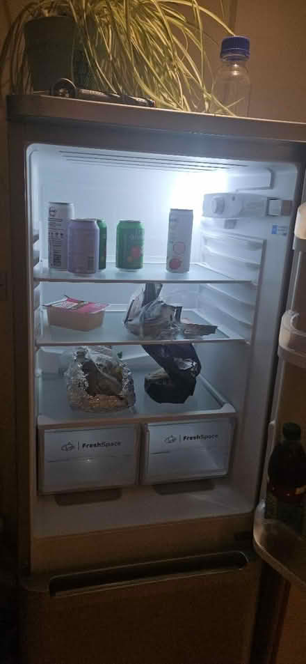 Photo of free Indesit - Fridge/Freezer (Bradville MK13) #2
