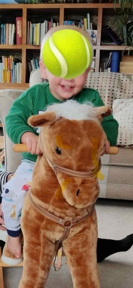 Photo of free Small rocking horse (Levens) #3