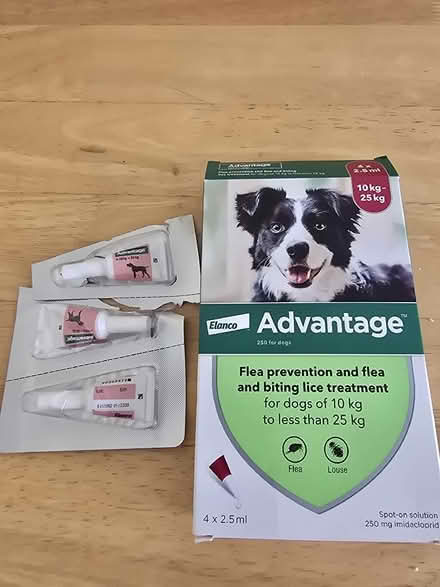 Photo of free Flea Treatment (Portchester PO16) #1