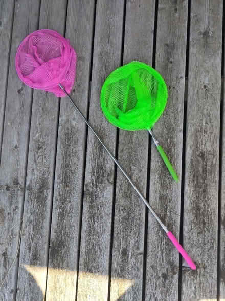 Photo of free Wildlife Obs Nets, extending handle (Little Kingshill HP16) #1