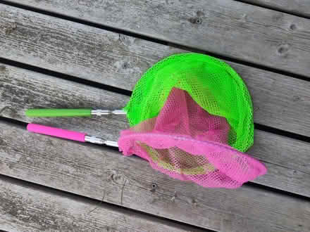 Photo of free Wildlife Obs Nets, extending handle (Little Kingshill HP16) #3