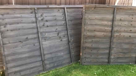Photo of free 3 x 6' x 4' fence panels (Ng24) #2