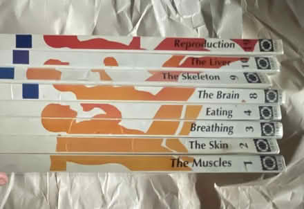 Photo of free Kid’s educational books (Finsbury Park N4) #1