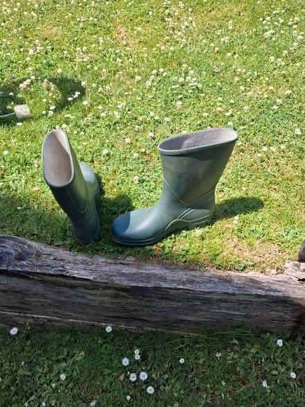 Photo of free Ankle boots (Roffey, Horsham) #2