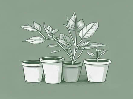 Photo of Vintage plant pots outdoors (Fords Farm RG31) #1