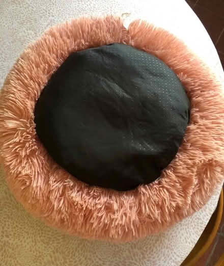 Photo of free Soft Pet Bed and Blankets (Redditch B98) #2