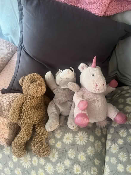 Photo of free Kids plushies (Bowerham LA1) #1