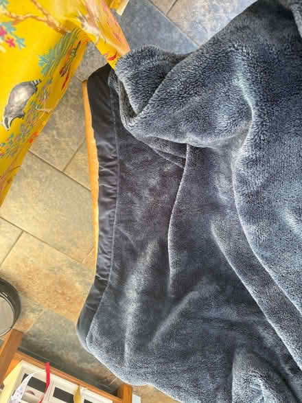 Photo of free Throw/cover - blue - large (Craigleith EH4) #2