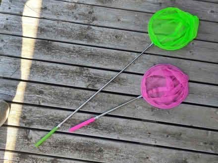 Photo of free Wildlife Obs Nets, extending handle (Little Kingshill HP16) #2