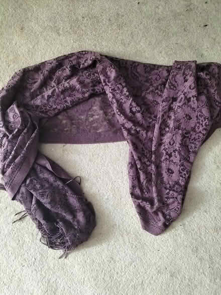 Photo of free Purple Lace Scarf (Bedwell SG1) #1