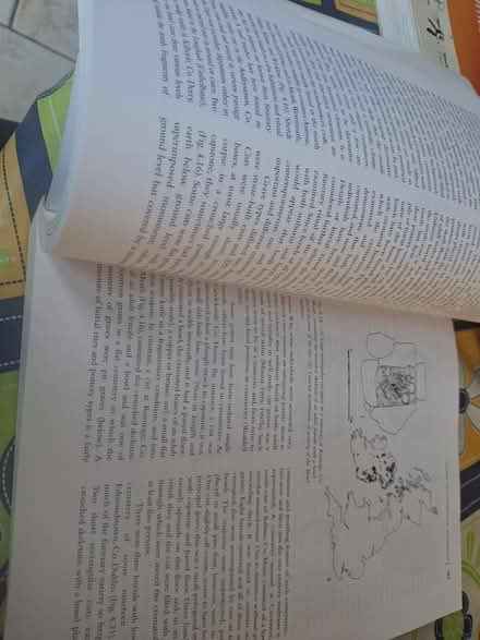 Photo of free Archaelogy Text Book -Waddell (Dublin 6w) #2