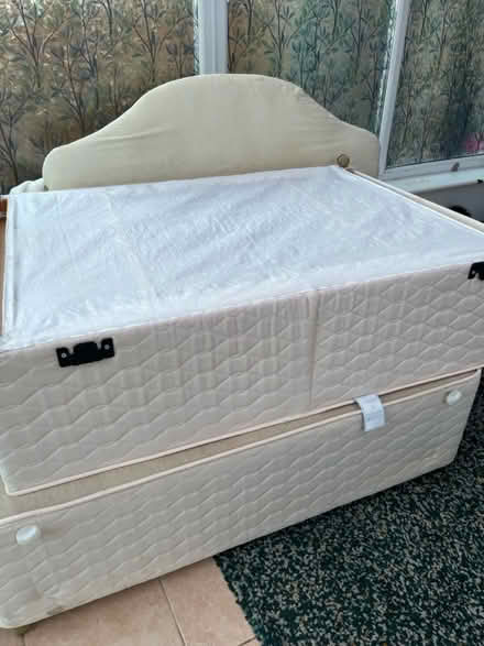 Photo of free Double divan bed (Willington) #1