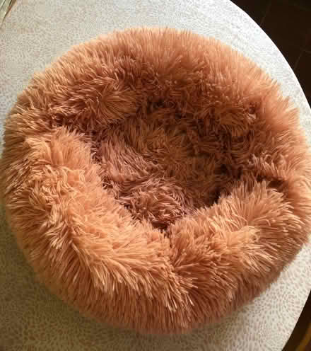 Photo of free Soft Pet Bed and Blankets (Redditch B98) #1
