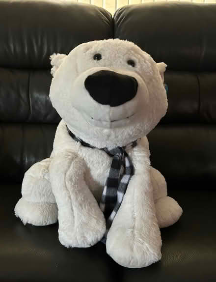 Photo of free Cuddly Bear - Coxheath (Coxheath ME17) #1