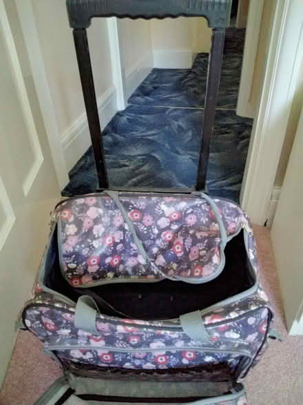 Photo of free Wheeled trolley with adjustable handle (Eye PE6) #2