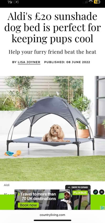 Photo of free Pet raised bed with canopy (Sidley TN39) #3