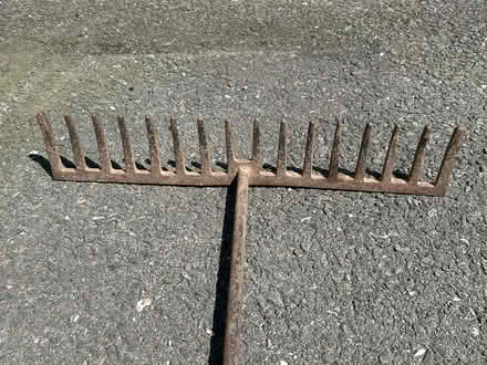 Photo of free Garden rake (Caernarfon LL55) #1