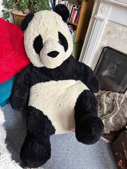 Photo of free Giant stuffed panda (Newhaven BN9) #1