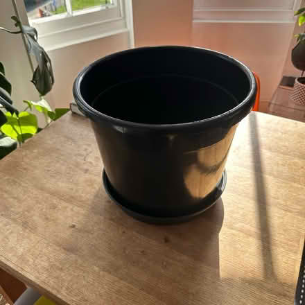 Photo of free 35cm plastic plant pot (London Fields E8) #2