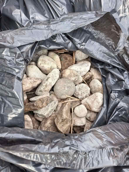 Photo of free Garden Stones (Earlsfield SW17) #4